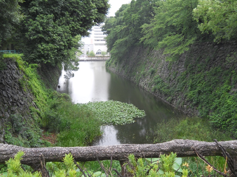 Channel surrounding the Nagoya Castle